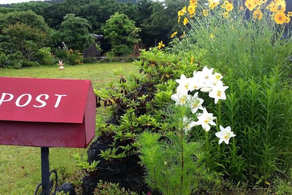 곶자왈 거문오름 펜션(Gotjawal Geomunoreum Pension)_3