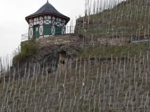 바인구트 & 가스트하우스 슈미츠-베르크베일러