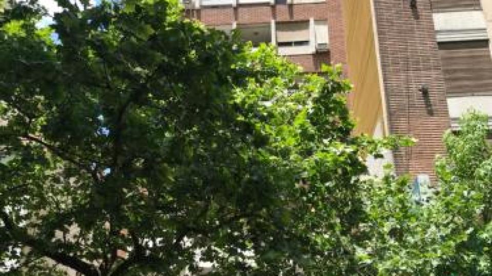 Edificio Torre Agora