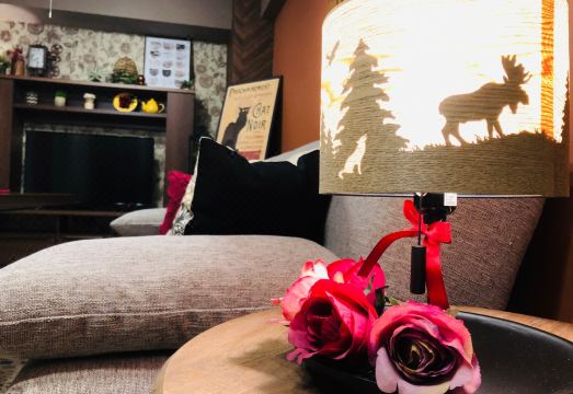 알파베드 다카마츠 아트 뮤지엄 스트리트