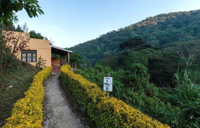 Gorilla Valley Lodge