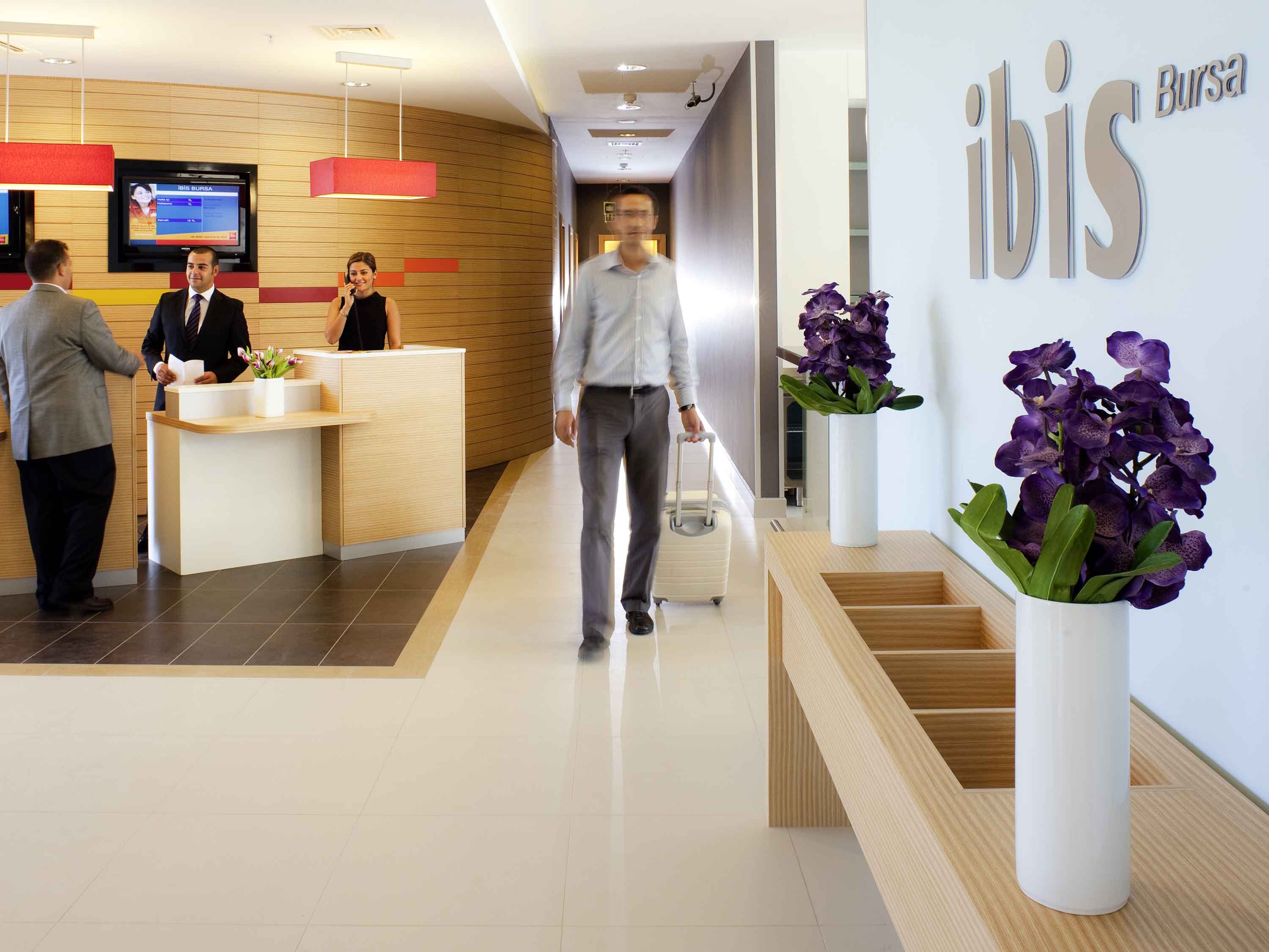 Ibis Bursa