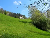 Grün