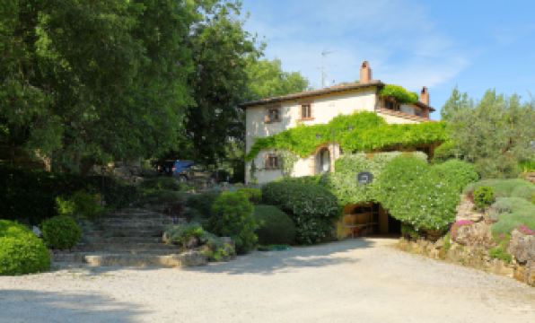 Hotel Oasis - Housity