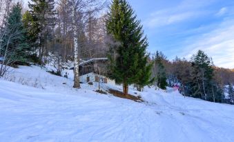 a snow - covered field with a large pine tree in the middle , surrounded by other trees at Chalet Ninette