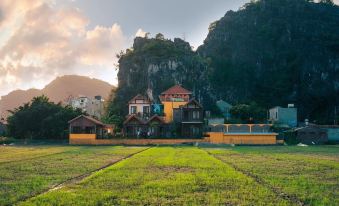 Papaya Bungalow & Rice Fields