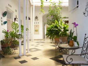 Cozy Loft, Historic Center Jerez, Wifi, Aircon, Terrace and Garden