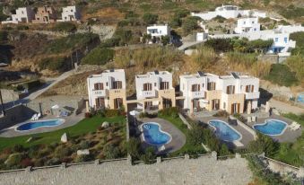 Naxos Luxury Villas