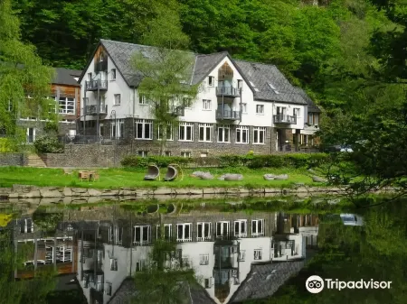 Cocoon Hotel la Rive Отели в г. Оберфойлен