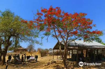Hôtel Restaurant Coco Lodge Majunga Hotels in 