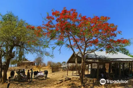 Hôtel Restaurant Coco Lodge Majunga