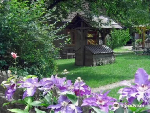 Naturhotel Steinschalerhof Hotels in 