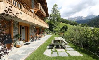 Cozy Chalet in Grand Bornand with Garden Furniture