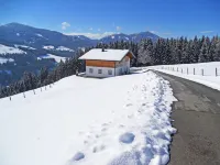 Auer