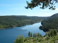Kvila