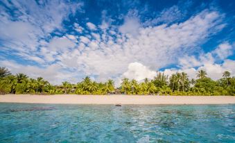 a serene beach scene with a clear blue ocean , lush green palm trees , and a white sandy shore under a partly cloudy sky at Sunset Resort