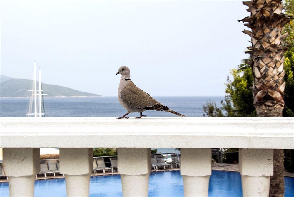 Isis Hotel & Spa Herşey Dahil (Goddess of Bodrum - All Inclusive)