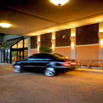 Sheraton Denver West Hotel Hotel Exterior