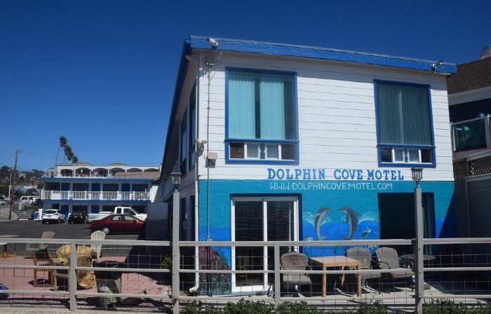Dolphin Cove Motel