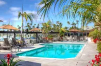 Bay Club Hotel and Marina - Beach