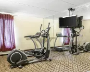 Spark by Hilton Kimball - Gym