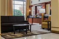Sleep Inn & Suites Stafford - Sugarland - Aamiainen
