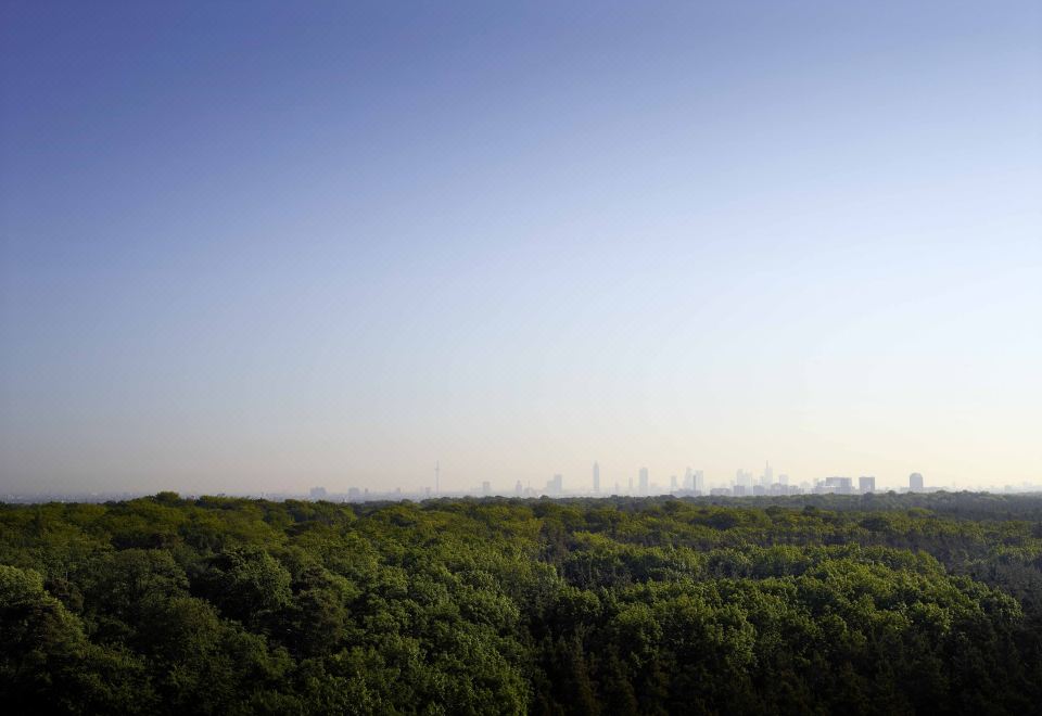 5. 슈타이겐베르거 ..