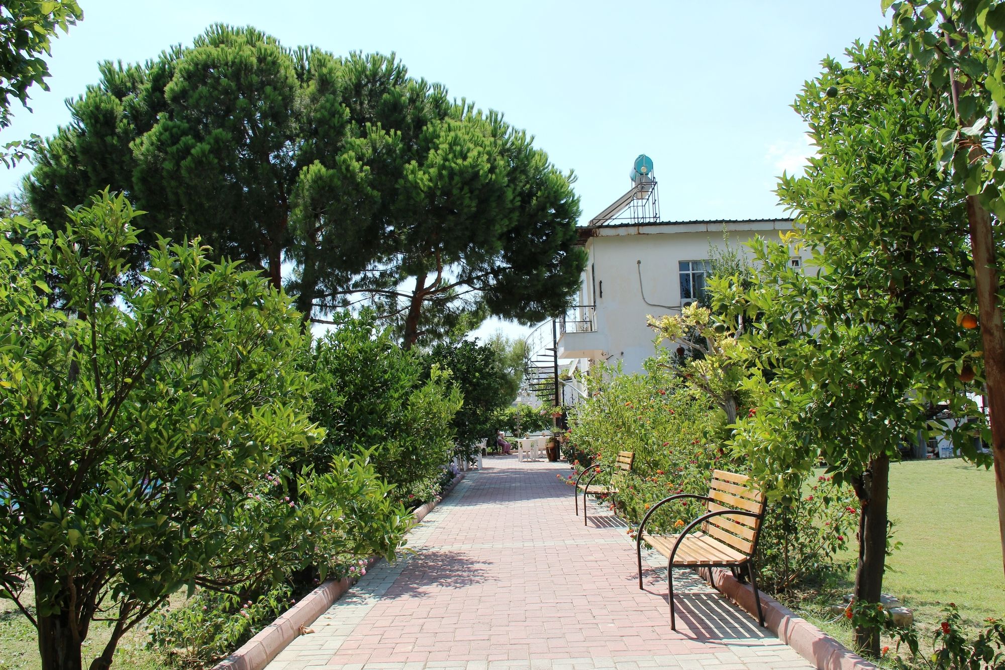 Mursel Pansiyon Garden Hotel (Mursel Pension Garden Hotel)