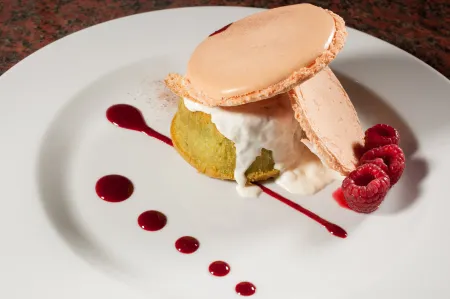 Geographotel Paris-Roissy CDG Airport