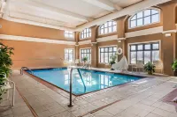 Comfort Inn & Suites Airport-American Way Hotels in Shelby County