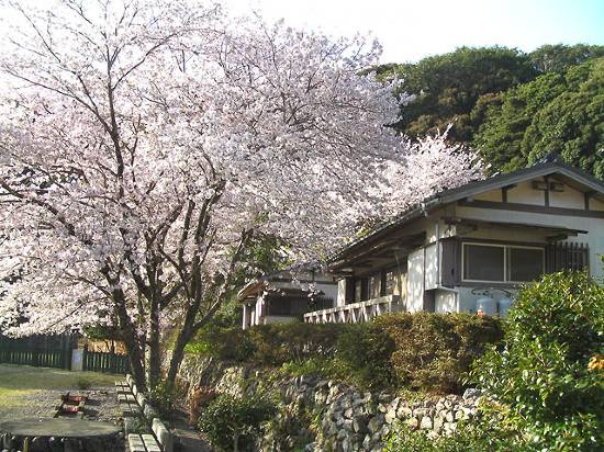 南阿波サンラインモビレージ 美波町 を宿泊予約 22年安い料金プラン 口コミ 部屋写真 Trip Com