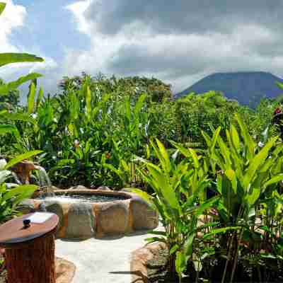 Volcano Lodge, Hotel & Thermal Experience Hotel Exterior