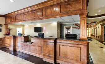 Hotel Elev8
