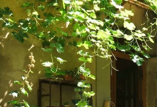 拉維吉內布魯艾酒店