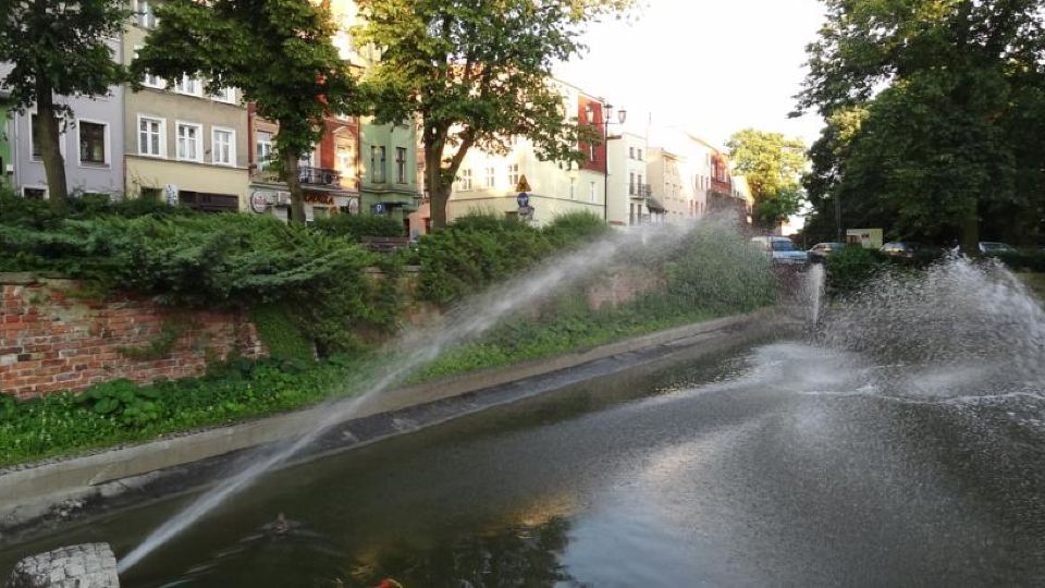 Apartament Kopernika 47