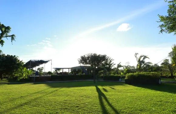 阿努拉德普勒黑白生態酒店