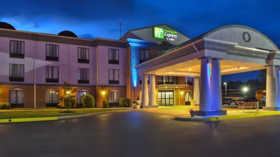 Holiday Inn Express & Suites Harrington