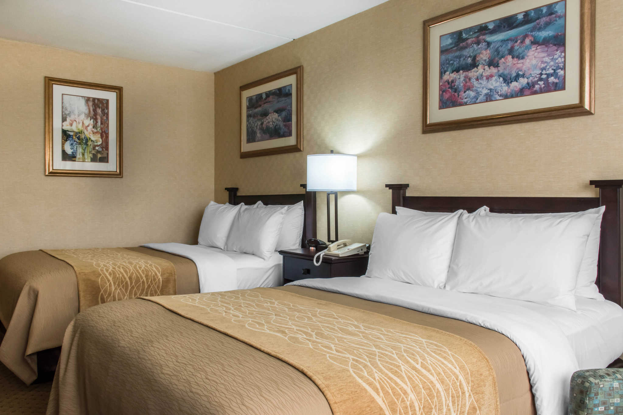 Comfort Inn Lancaster County North