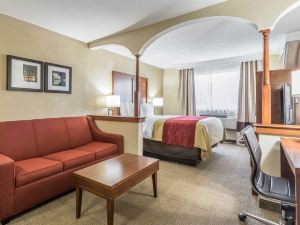 Comfort Inn Nashville West