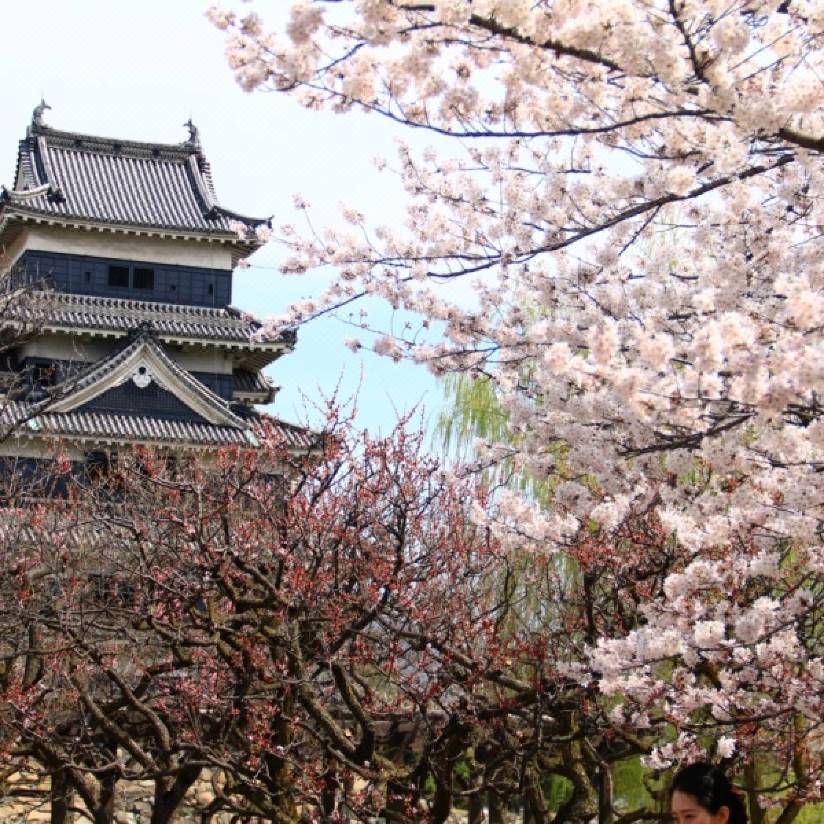 尾上の湯旅館 松本 を宿泊予約 22年安い料金プラン 口コミ 部屋写真 Trip Com