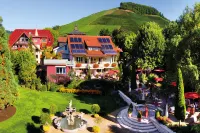 Hotel Rebstock Durbach Hotels in Lautenbach