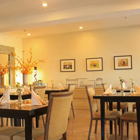 The Pinnacle Hotel and Suites