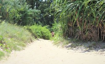 Under the Coconut Tree Hoi An Homestay