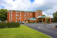 Sleep Inn Nashville - Brentwood - Cool Springs
