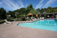 Village Inn Hotels in Springfield