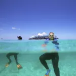 Mango Lagoon Resort & Wellness Spa Hotels in Clifton Beach
