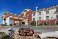 Holiday Inn Express & Suites Amarillo East Hotels in Amarillo
