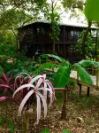 Upachaya Hotels in French Cay
