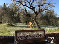 Hotel Palazzo di Valli Hotels near Il Kroeg birreria tedesca