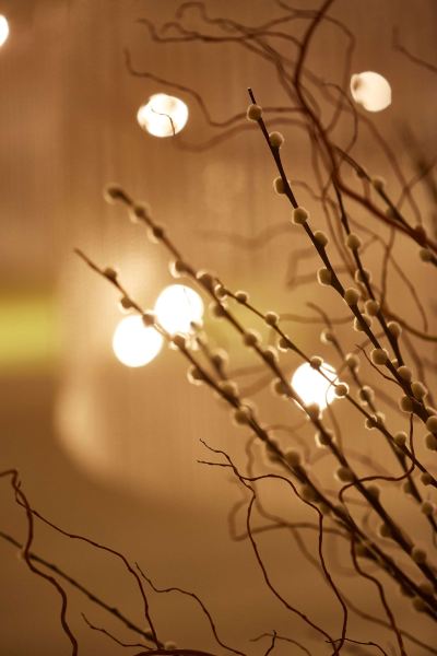 レストラン ハイアット リージェンシー マニラ シティ オブ ドリームズの写真